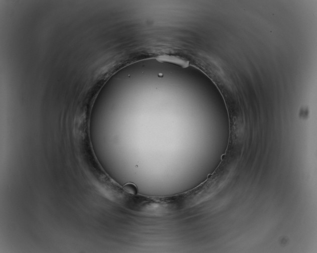 X0000101140364200807071131