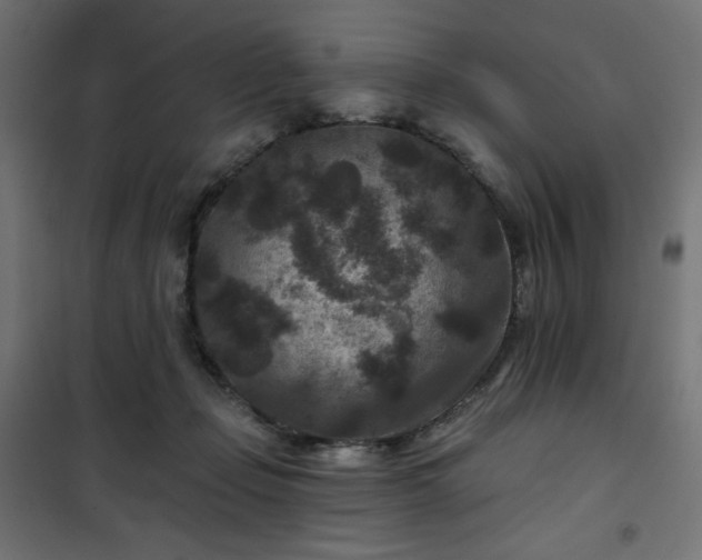 X0000101140365200807071131