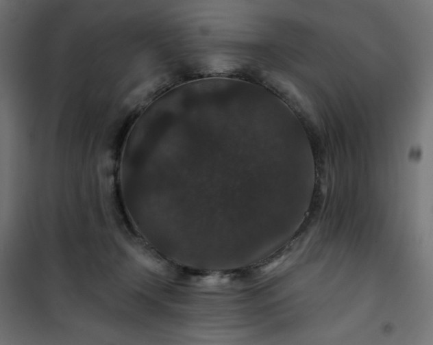 X0000101140366200807071131