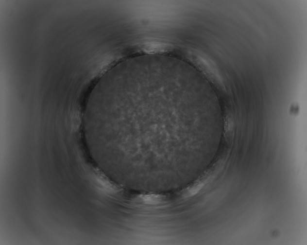 X0000101140367200807071131