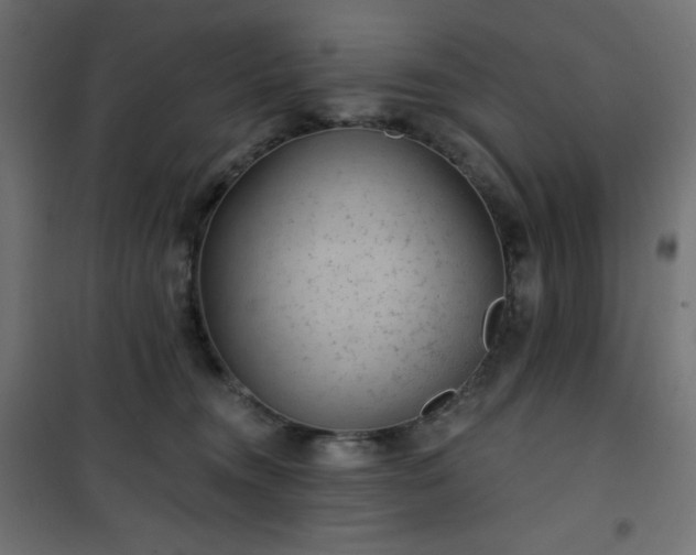 X0000101140372200807071131