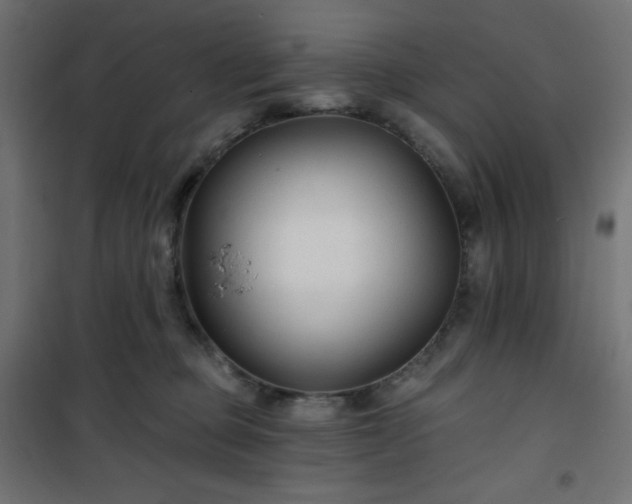 X0000101140373200807071131