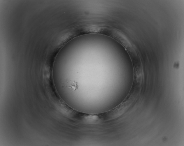 X0000101140374200807071131