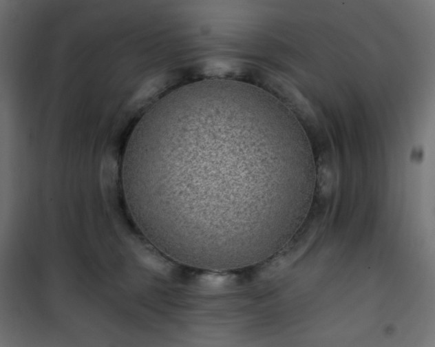 X0000101140375200807071131