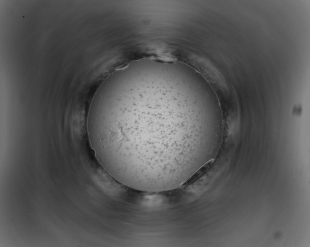 X0000101140376200807071131