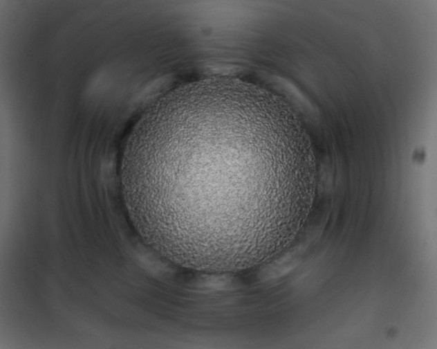 X0000101140377200807071131