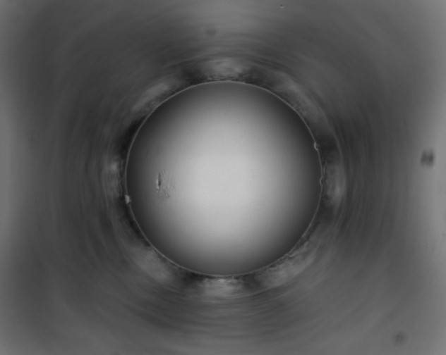 X0000101140378200807071132