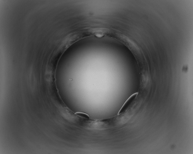 X0000101140379200807071132