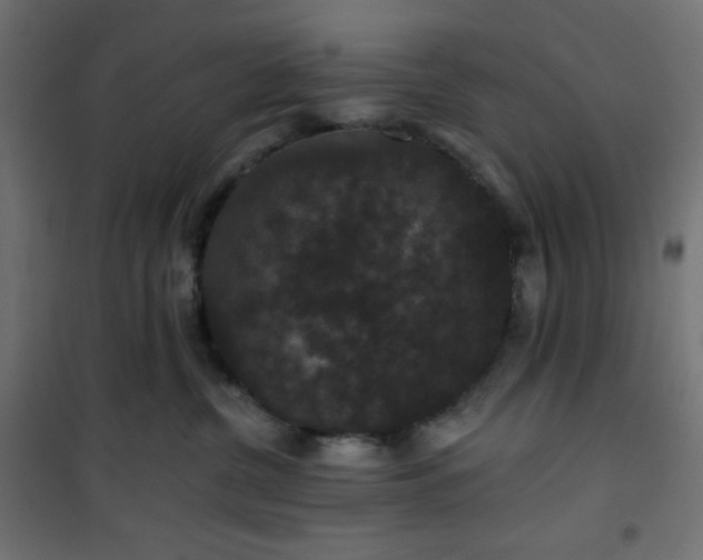 X0000101140380200807071132