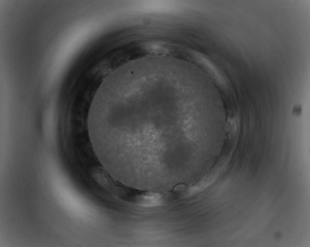 X0000101140381200807071132