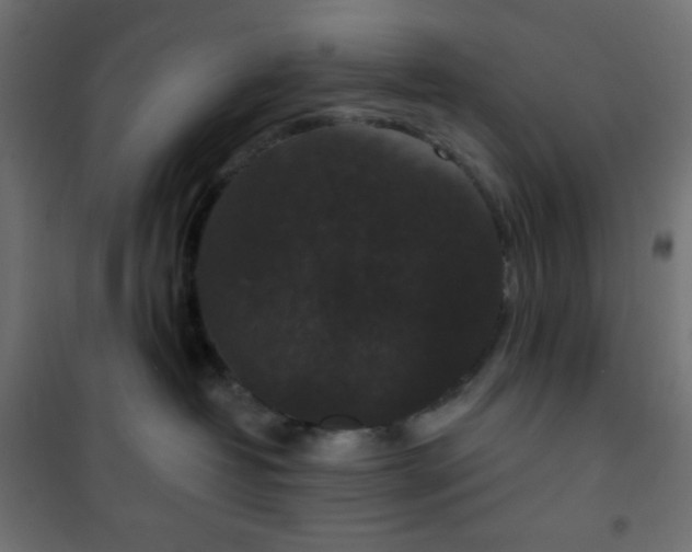 X0000101140382200807071132