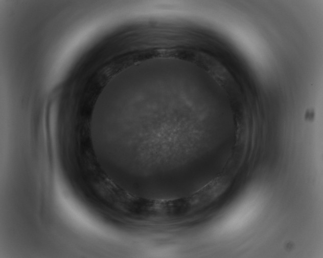 X0000101140383200807071132