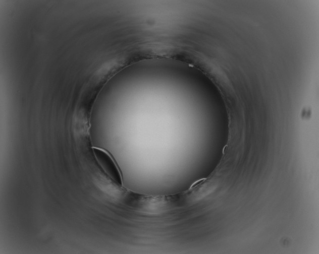 X0000101140384200807071132