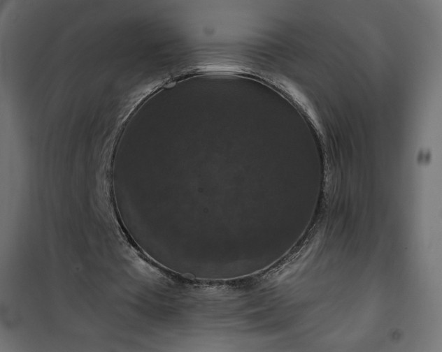 X0000101140385200807071131