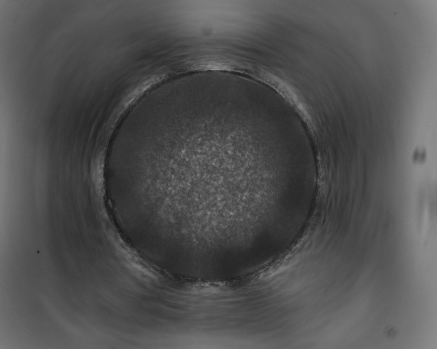 X0000101140386200807071131