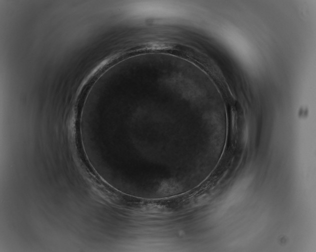 X0000101140387200807071131