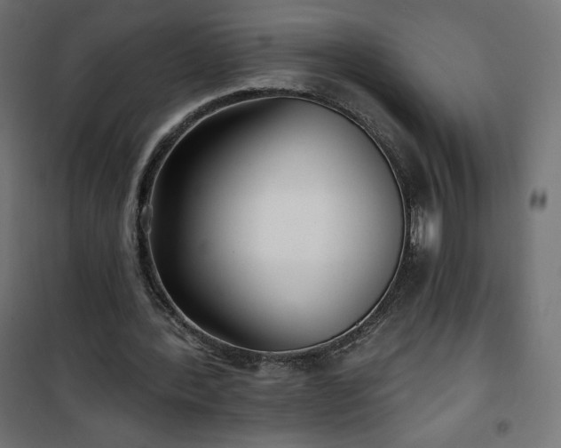 X0000101140388200807071131