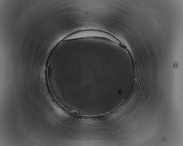 X0000101140389200807071131