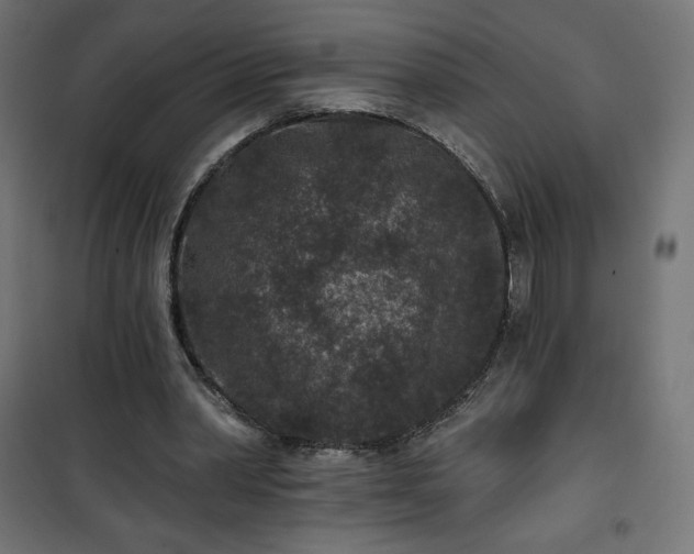 X0000101140390200807071131