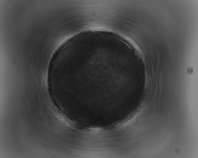 X0000101140391200807071131