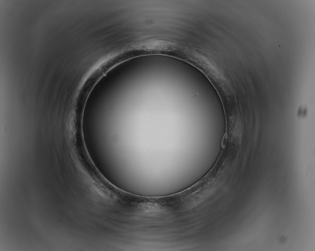 X0000101140392200807071131