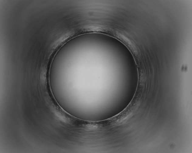 X0000101140394200807071131