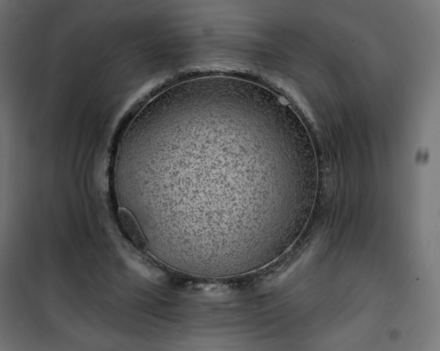 X0000101140395200807071131