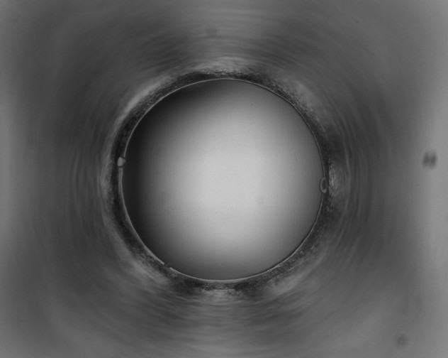 X0000101140396200807071131