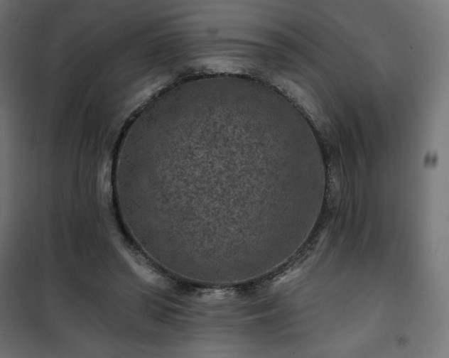 X0000101140398200807071131