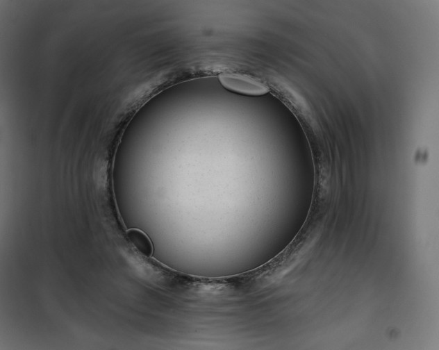 X0000101140401200807071131