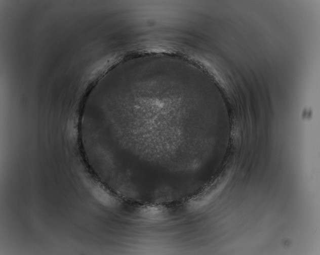 X0000101140402200807071131