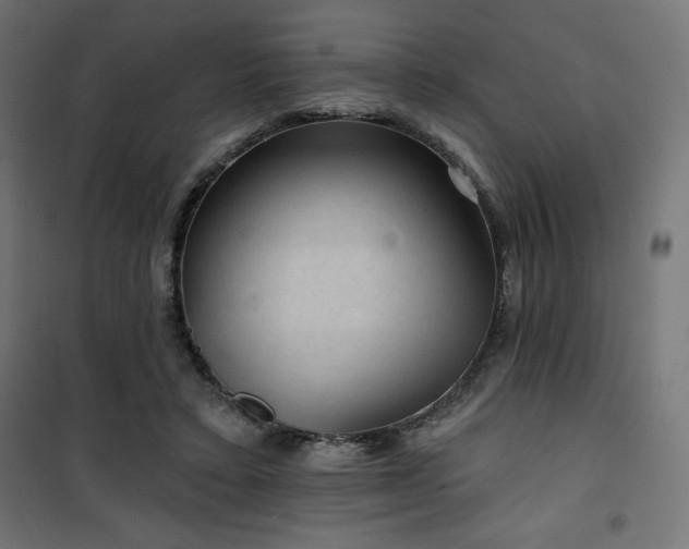 X0000101140403200807071131