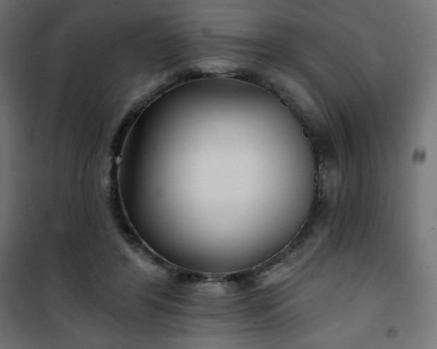 X0000101140404200807071131