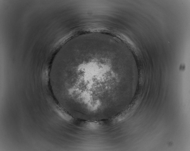 X0000101140405200807071131