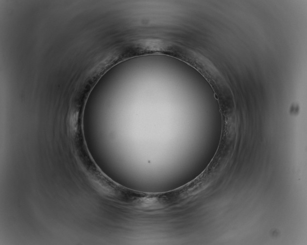 X0000101140406200807071131