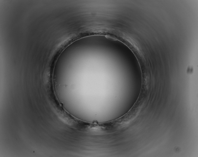 X0000101140407200807071131