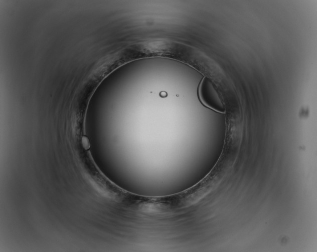 X0000101140408200807071131