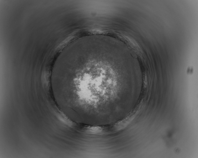 X0000101140409200807071131