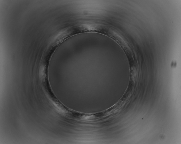 X0000101140410200807071131