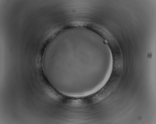 X0000101140411200807071131