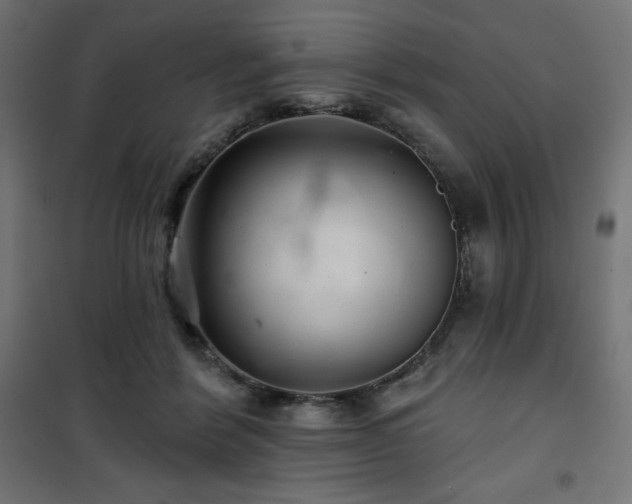 X0000101140412200807071131