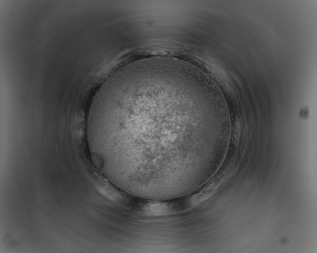 X0000101140413200807071130