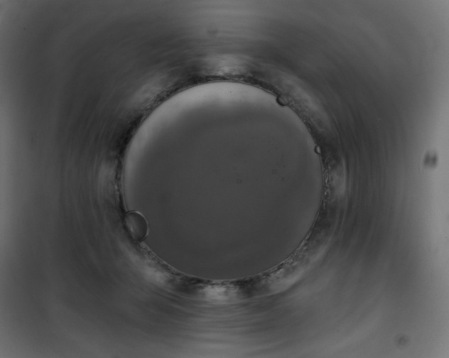 X0000101140415200807071130