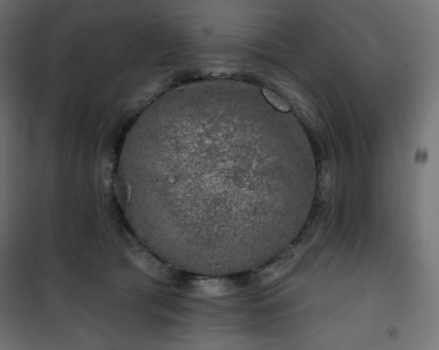 X0000101140417200807071130