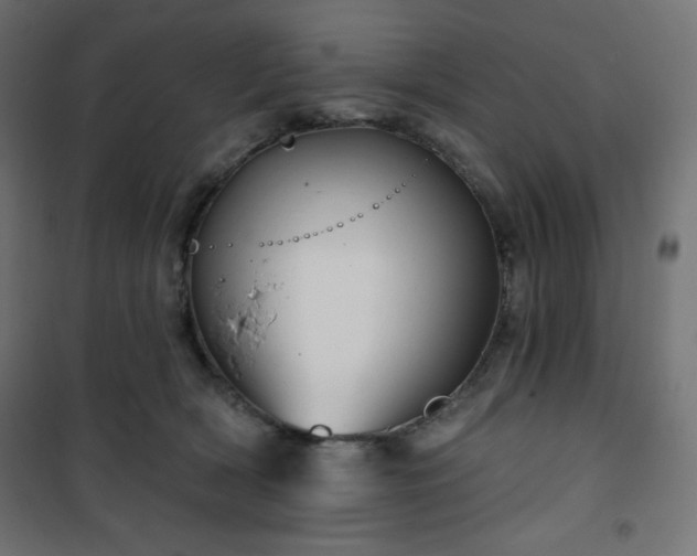 X0000101140418200807071130