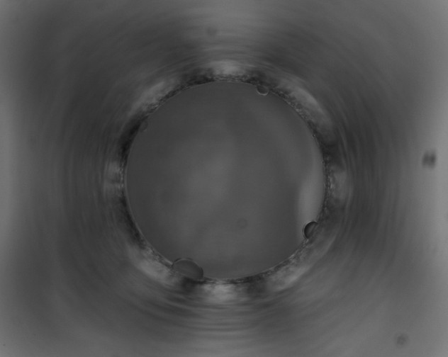 X0000101140419200807071130