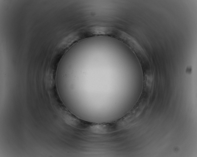 X0000101140422200807071130