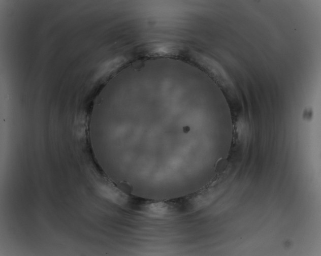 X0000101140423200807071130