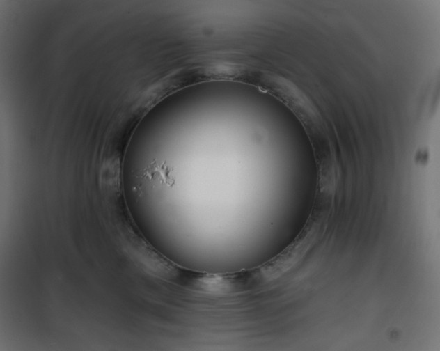 X0000101140425200807071130