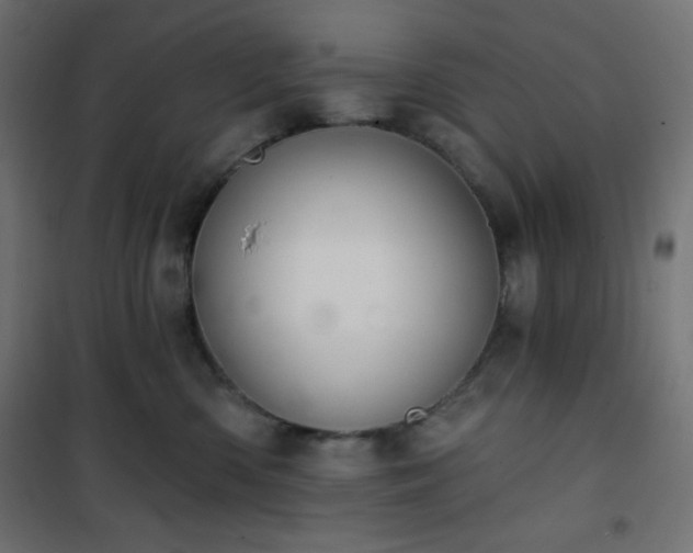 X0000101140426200807071130